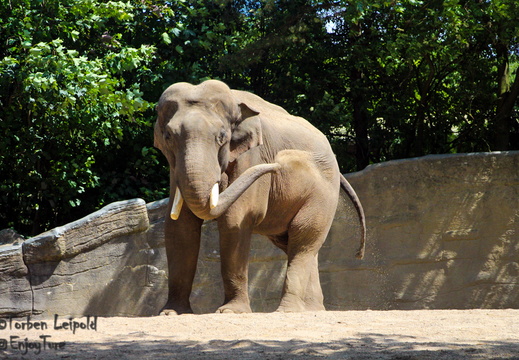 Tierpark Hagenbeck