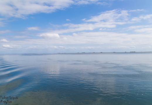 IMG 7577