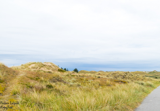 Amrum