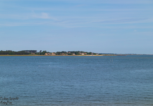 IMG 0424