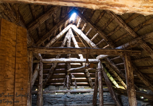 IMG 0601