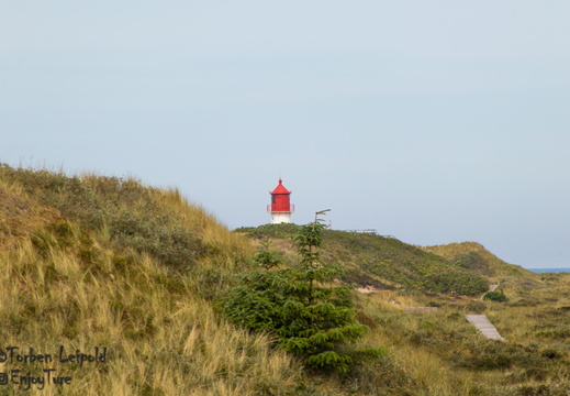 IMG 0621