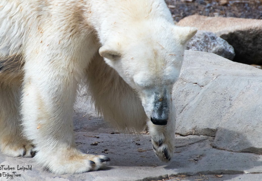 IMG 7844-Bearbeitet